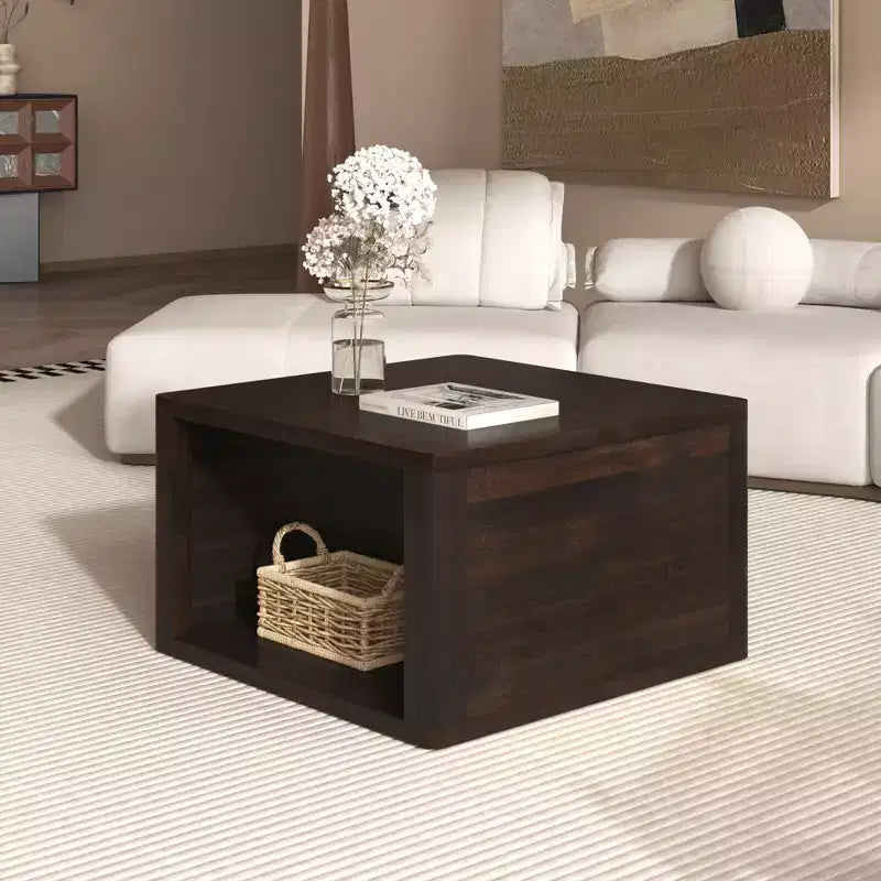 Table basse carrée en bois avec rangement, table centrale à 2 niveaux, table d'appoint avec compartiment de rangement semi-ouvert pour salon